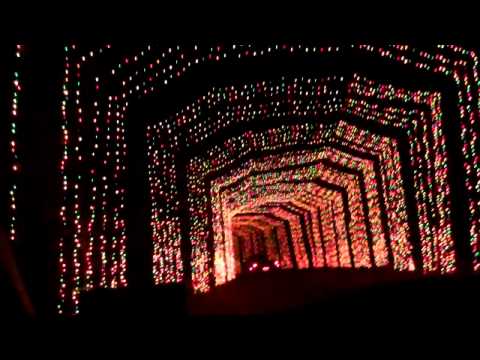How To Get To Blora Nature In Lights How To Get To Blora Nature In Lights