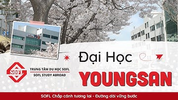 Giới thiệu về trường Đại học Youngsan Hàn Quốc | Du học SOFL