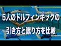#663 5人のドルフィンキックの引き方と蹴り方を比較【水泳】