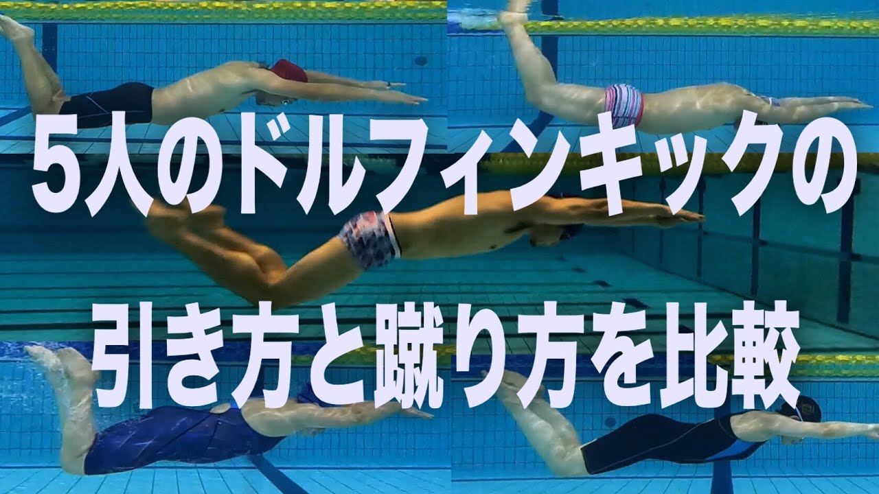 #663 5人のドルフィンキックの引き方と蹴り方を比較【水泳】