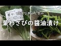 【珍野菜】わさびの醤油漬け