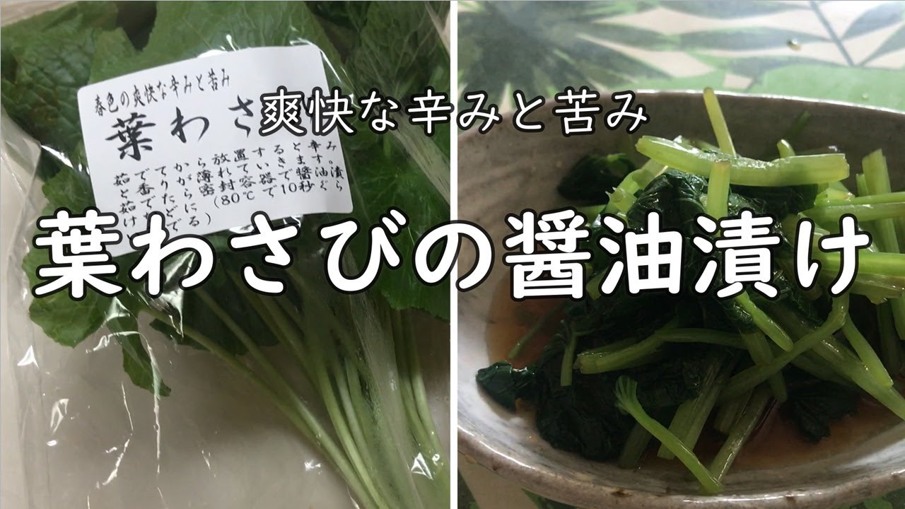 珍野菜 わさびの醤油漬け Youtube