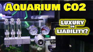 Aquarium CO2: Must-Have or Waste of Money?