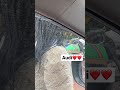 For The Love Of AUDI For The Love Of AUDI