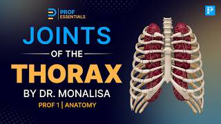 Never Confuse Thorax Joints Again!