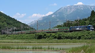 ＥＦ２１０－１５８牽引高速５６レ東海道本線柏原通過(2026.6.13)