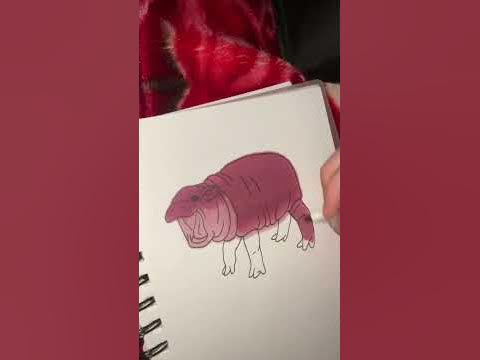 Let's Draw Moo Deng together!!! #moodeng - YouTube