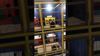 Kandang Merpati balap kaya apartemen mewah cuii… #shorts #merpatibalap #merpati