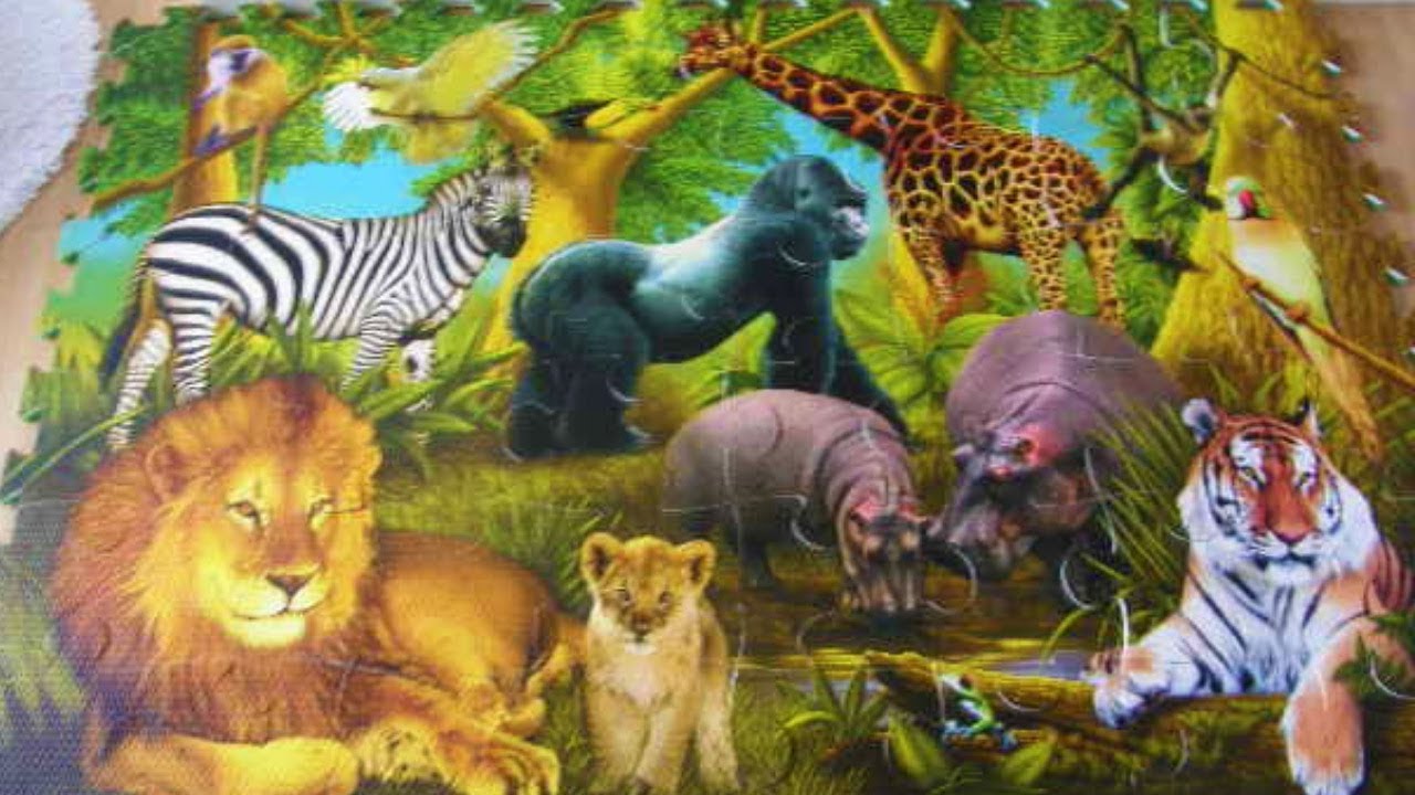 ELC large jungle animals foam floor puzzle mat YouTube