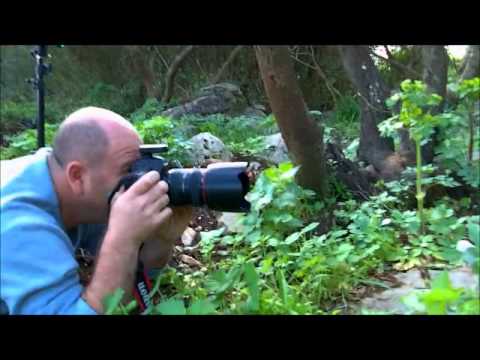 يوميات حمار    