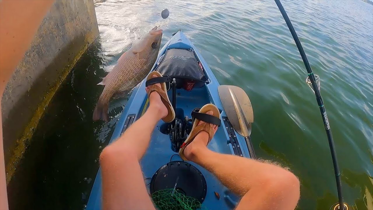 Kayak Fishing Marco Island Bridge Where to Fish for Mangrove Snapper