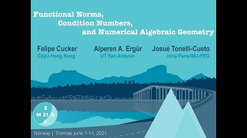 MEGA2021 - Functional norms, condition numbers and numerical algorithms in algebraic geometry