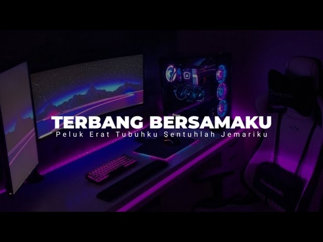 DJ TERBANG BERSAMAKU ( PELUK ERAT TUBUHKU SENTUHLAH JEMARIKU ) class=