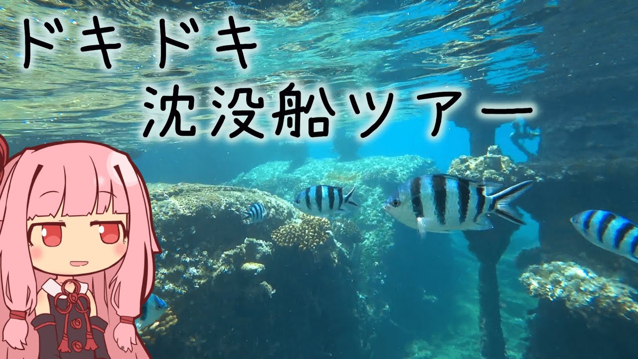 本当にゆっくりな日本一周ツーリング22日目前半【小笠原諸島】【ゆっくりVOICEROID車載】