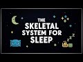 The Skeletal System For Sleep | Skeletal System to Fall Asleep To