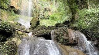 NATURE INSTUMENTAL MUSIC RELAXATION [1]