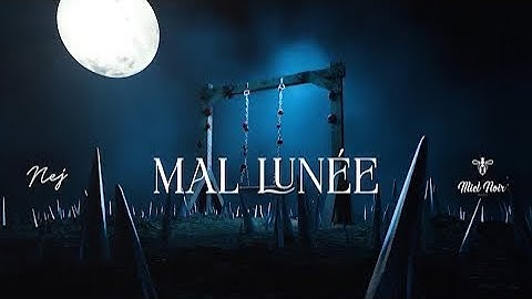 NEJ’ - MAL LUNÉE(vidéo lyrics)