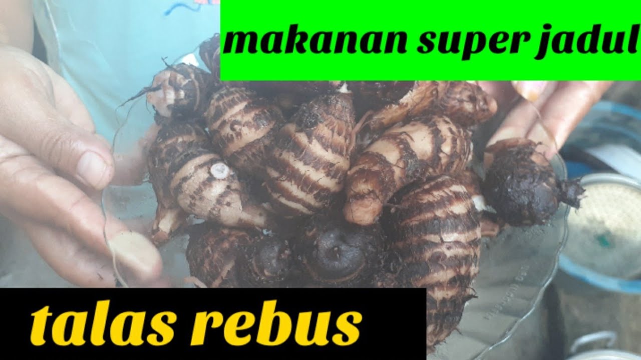masak talas cara mengolah talas enak YouTube
