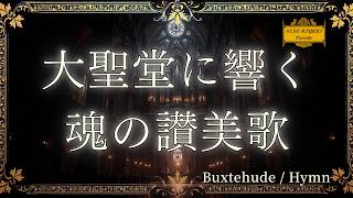 大聖堂に響く魂の讃美歌 ― ブクステフーデの祈り | Cathedral Hymns for a Cleansed Soul