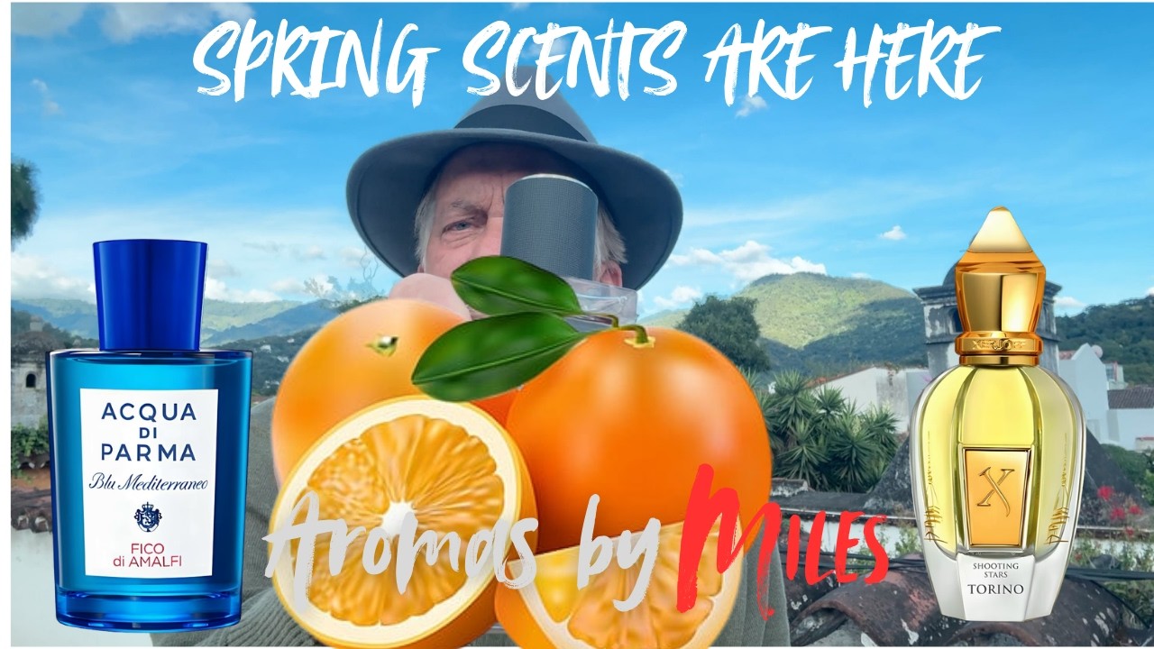 BIG CITRUS NUMBER ONE