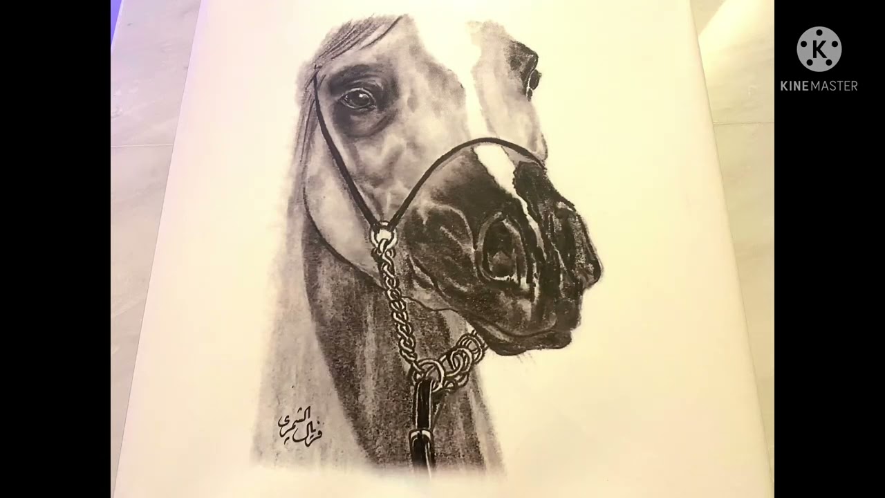 Millennium Hotel Hail