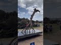 Sculpture by the sea | Coastal Walk to Bondi Beach