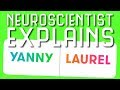 Neuroscientist Breaks Down Yanny vs. Laurel Auditory Illusion