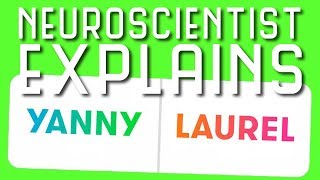 Neuroscientist Breaks Down Yanny vs. Laurel Auditory Illusion