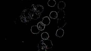 Cluster formation in flocking system