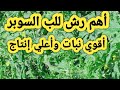 أهم رش في اللب السوبر وأقوي مجموع خضري وأعلي إنتاج للفدان