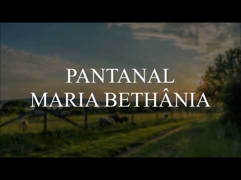 Pantanal Maria Bethânia