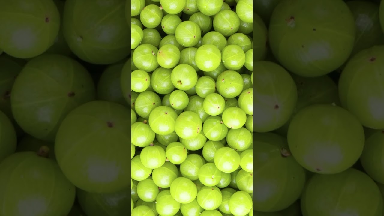 🌿Revive and rejuvenate your hair with ALIVER Amla Hair Repair Oil Capsules!