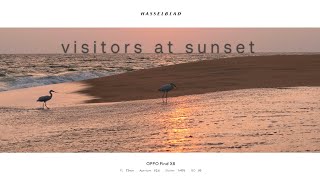 Visitors At Sunset Eravipuram Beach, Kollam, Kerala