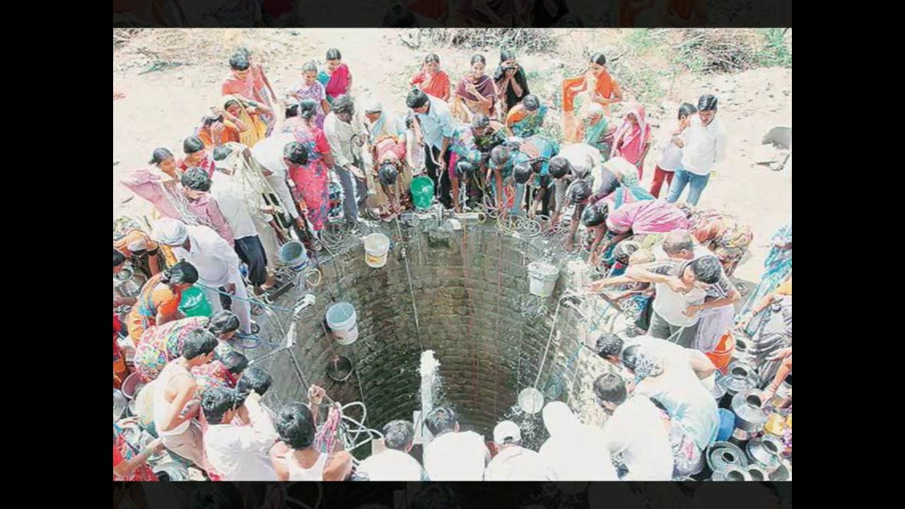 Save Animal Life part -1