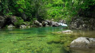 Relaxing with Water Sounds Babbling Stream Pleasant Birdsong for Stress Relief Relax Deep Sleep