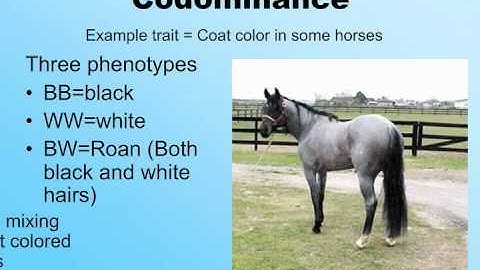 Beyond Mendelian Genetics