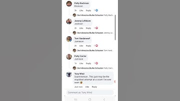 Stop getting scammed. Seriously. #scammers #facebook #scam #scammerpayback  #perogi #kitboga #fyp