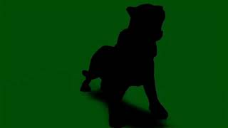 Green screen Black Tiger video