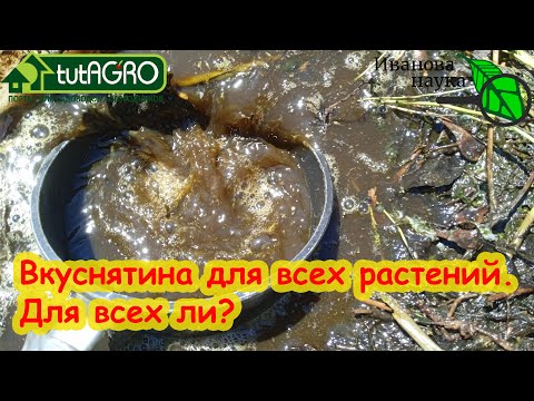 КАКИЕ РАСТЕНИЯ НЕЛЬЗЯ