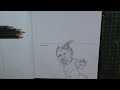 Middle of video