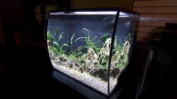 Fluval Flex: Unboxing and Setup