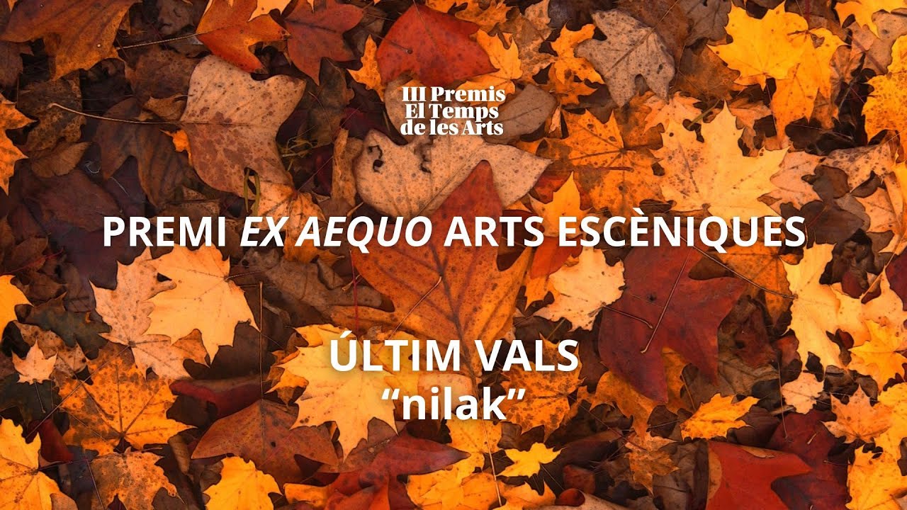 Entrevista Premi Ex Aequo Arts Escèniques dels III Premis El Temps de les Arts