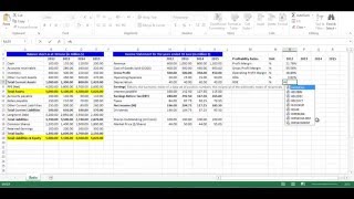 Profitability Ratios
