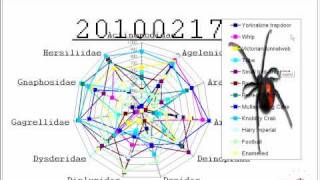 Spider_Cant_007.wmv