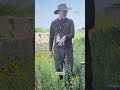 This Magical Rooftop Pollinator Garden in Lakeview Is Normally Off Limits. Enjoy a Rare Glimpse