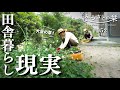 【田舎の現実】古民家暮らしは避けられない…怒涛の草刈りシーズン到来！｜田舎暮らし052