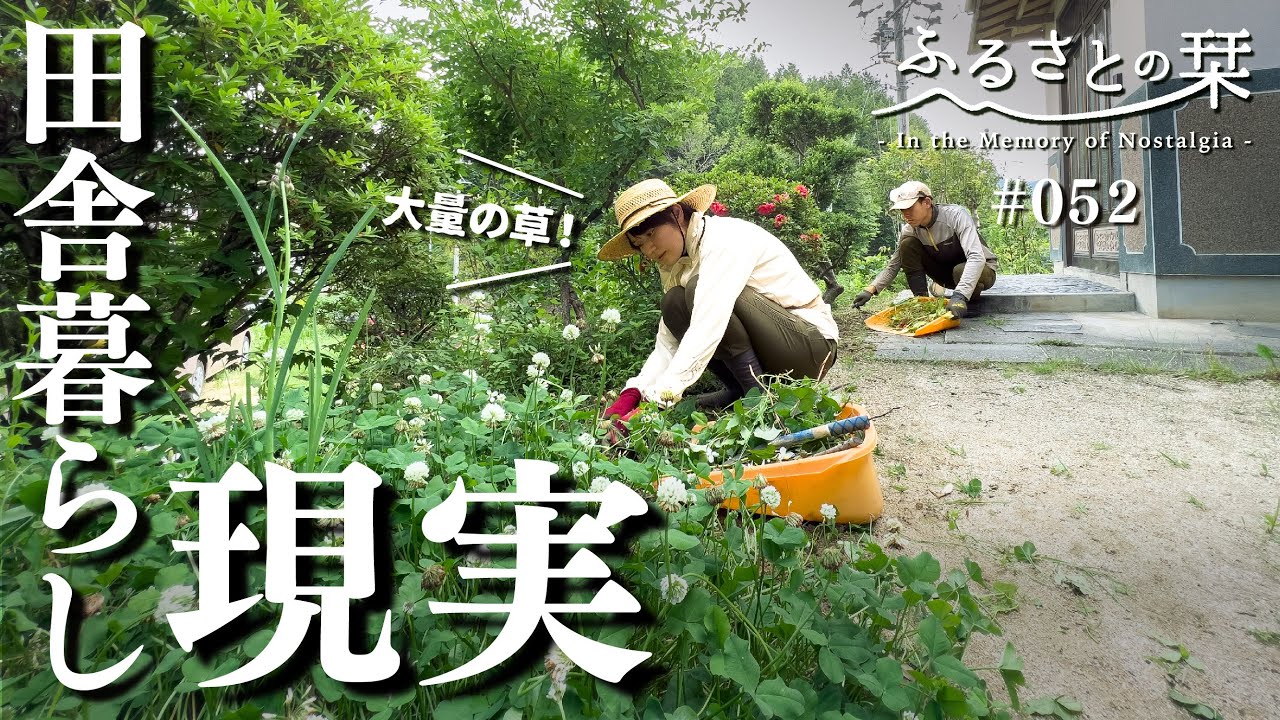 [Старая добрая жизнь в Японии] Летний пейзаж японской деревни | 052