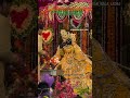 Banke bihari lal ki jai🌎 #bankebihari #shriradha #barsana #vrindavan #devotional #radha #jagannath 😍
