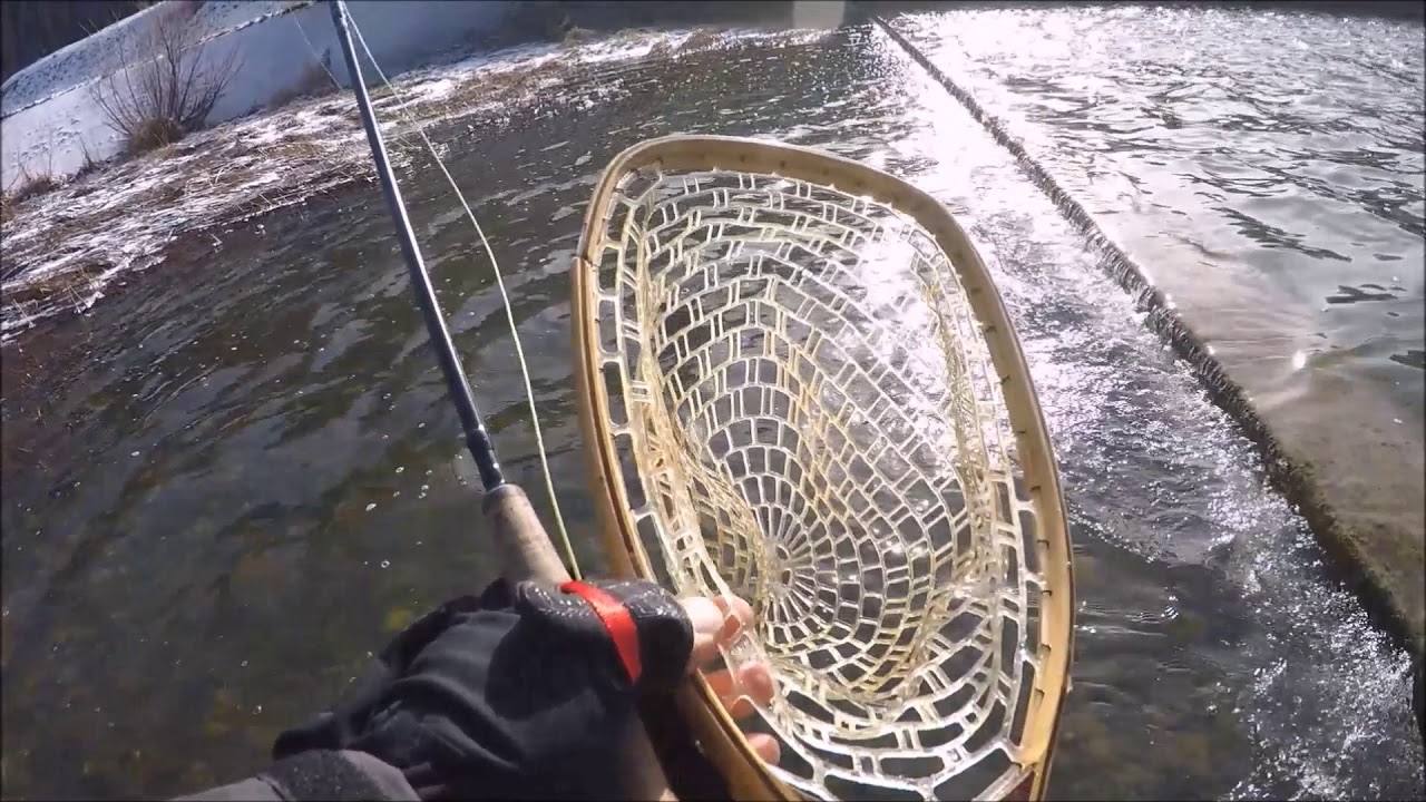 Fly Fishing Brady's Run Park, Beaver County, PA YouTube