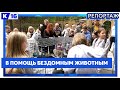 В парке Зернова прошел «Мурррфест»